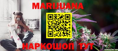 шишки Бузулук