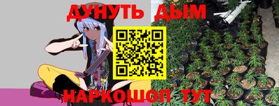 молекула духа Будённовск