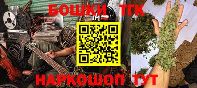 молекула духа Будённовск