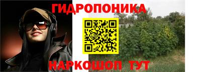 шишки Бузулук