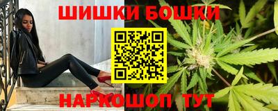 молекула духа Будённовск