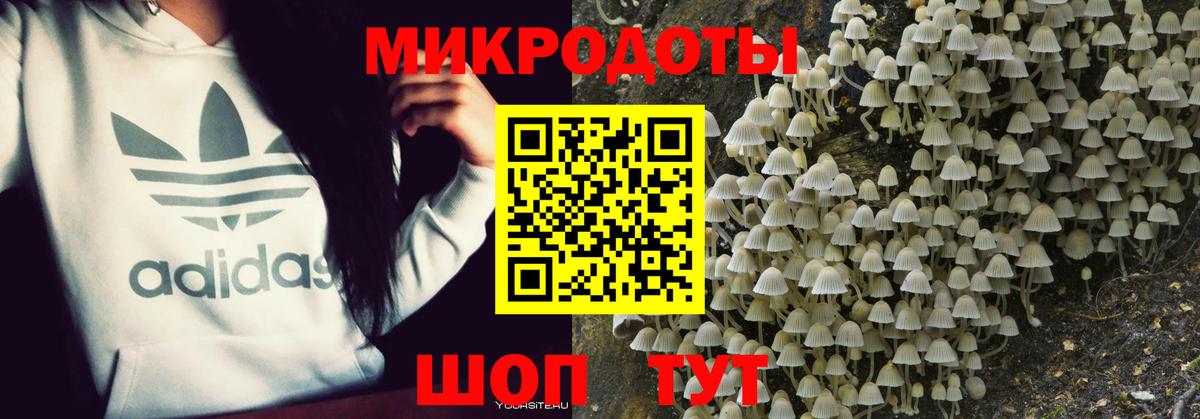 Псилоцибиновые грибы прущие грибы  Галлюциногенные грибы Cubensis  где найти   Аксай  Вход с VPN 